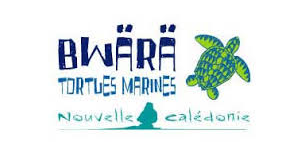 bwara_tortues_marine.png