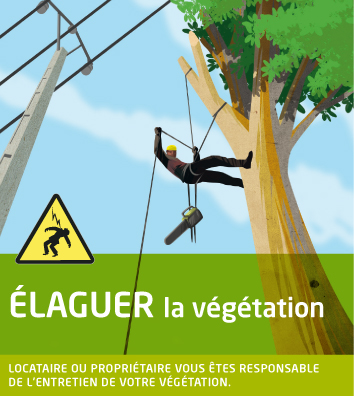 élagage nouvelle calédonie