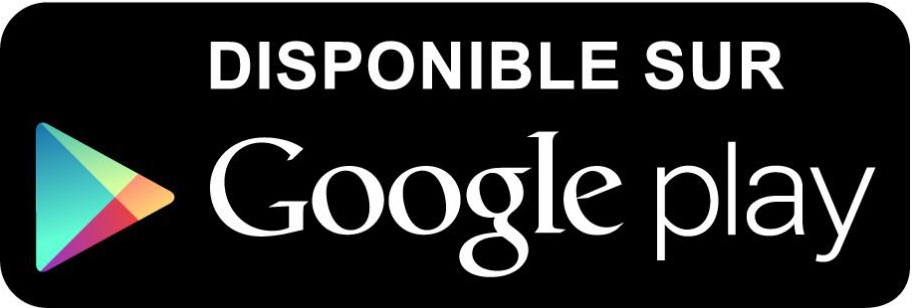 logo google display
