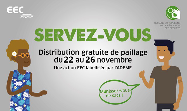 bache SERD2020 WEB