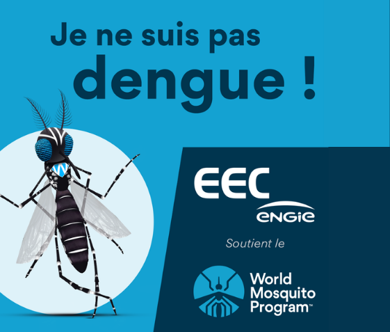 Le World Mosquito Program s'étend à Dumbéa et au Mont-Dore