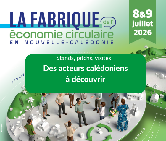 Des acteurs calédoniens mis à l'honneur