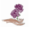 FLORESCENCE